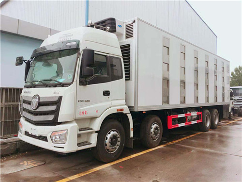歐曼前四后八雛禽運(yùn)輸車(chē)