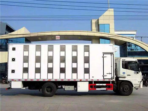東風(fēng)天錦雛禽運(yùn)輸車 東風(fēng)天錦雛禽運(yùn)輸車