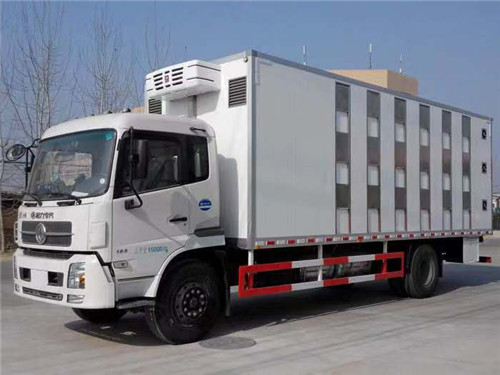 東風(fēng)天錦雛禽運(yùn)輸車 東風(fēng)天錦雛禽運(yùn)輸車