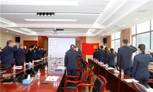隨州市稅務(wù)局第一稽查局與程力汽車集團(tuán)的全體參會(huì)成員一起重溫國(guó)歌、并向黨旗莊嚴(yán)宣誓。