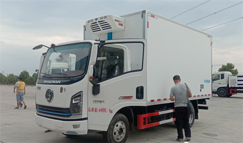 國六陜汽商用翼9 藍(lán)牌冷藏車 150馬力  國六陜汽商用翼9 藍(lán)牌冷藏車 150馬力